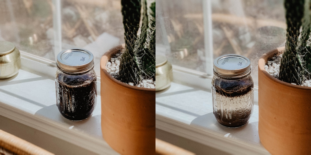 A split screen with a cactus and a mason jar full of liquid.
