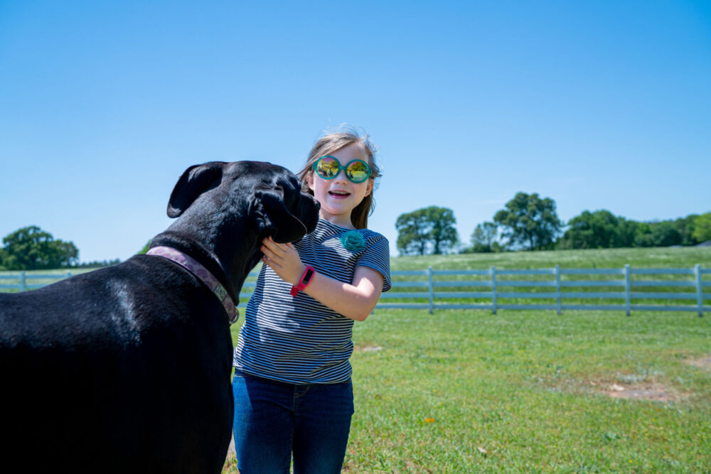 A girl with glasses petting a dog in a field.