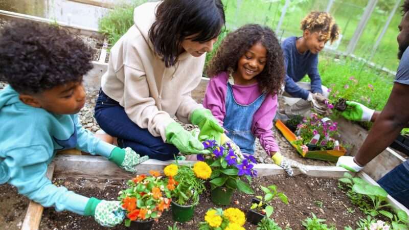 A family helping garden in their community
