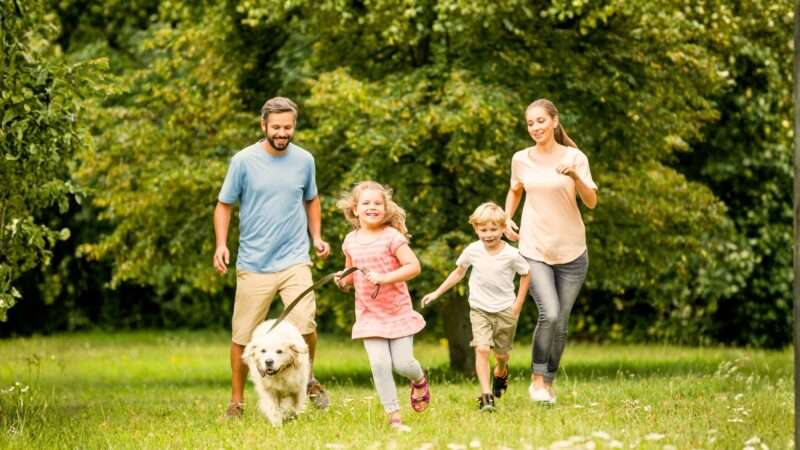Family running in a field with their dog as one of the many free things to do